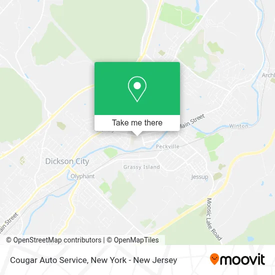 Cougar Auto Service map