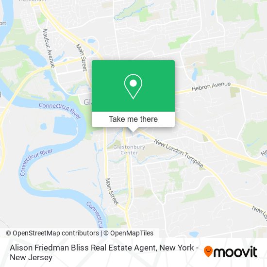 Alison Friedman Bliss Real Estate Agent map