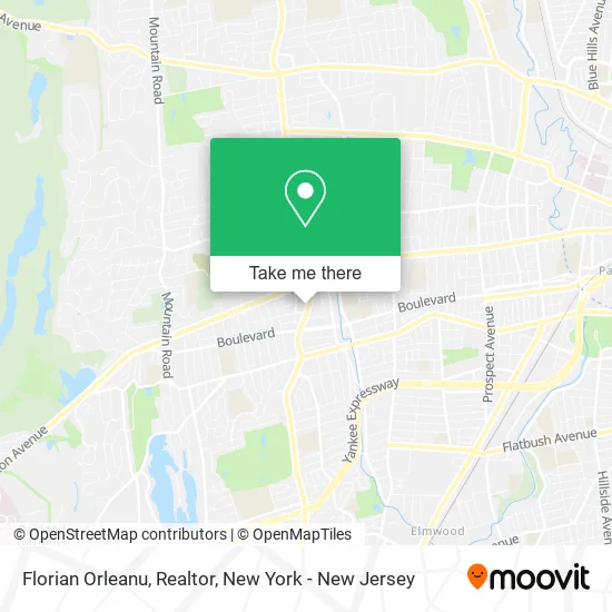 Florian Orleanu, Realtor map