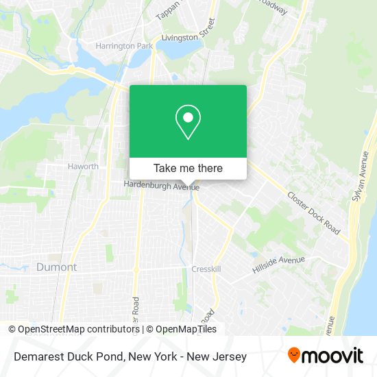 Demarest Duck Pond map