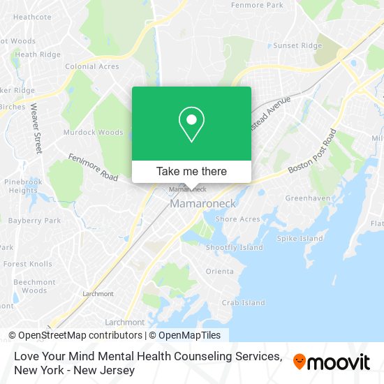 Mapa de Love Your Mind Mental Health Counseling Services