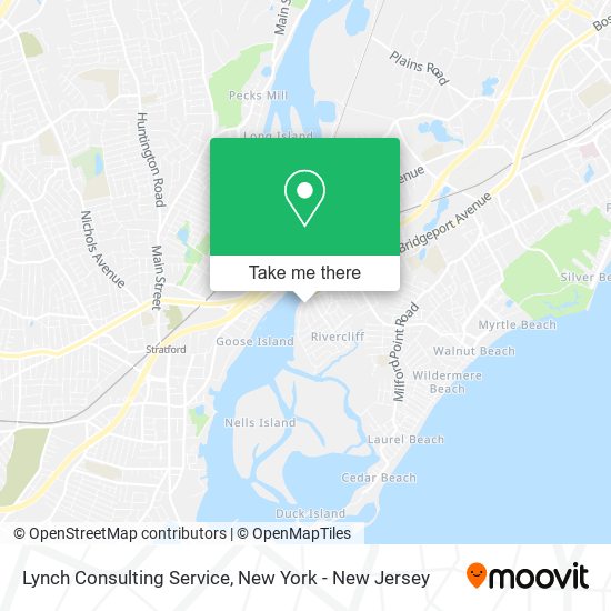 Lynch Consulting Service map