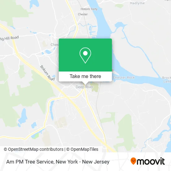 Am PM Tree Service map