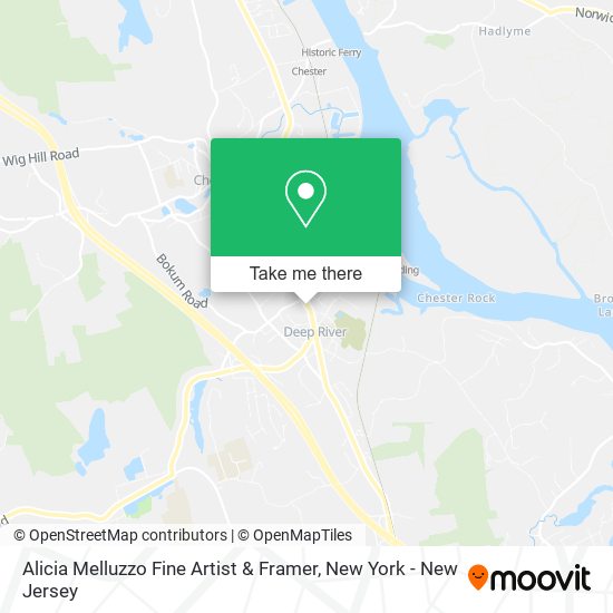 Alicia Melluzzo Fine Artist & Framer map