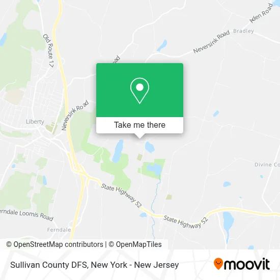 Sullivan County DFS map