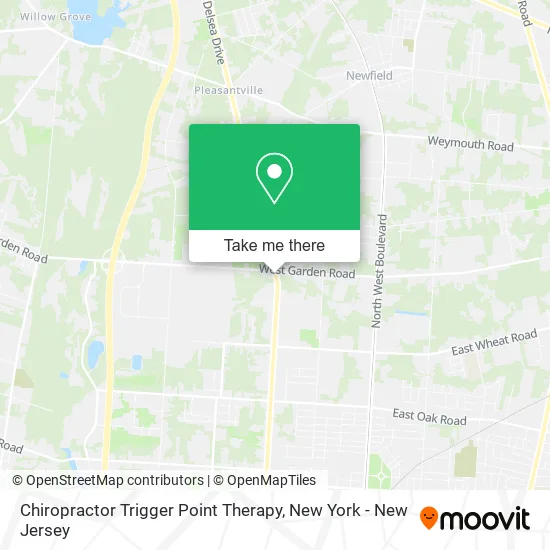 Chiropractor Trigger Point Therapy map