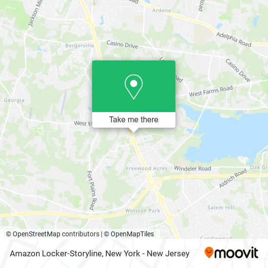 Amazon Locker-Storyline map