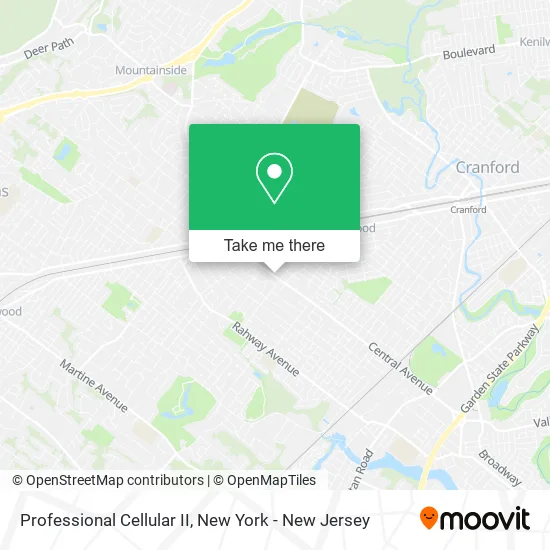 Professional Cellular II map