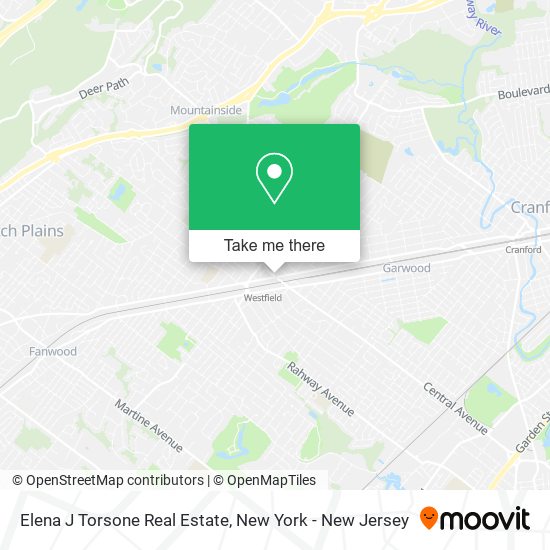 Elena J Torsone Real Estate map