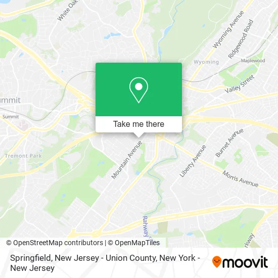 Springfield, New Jersey - Union County map