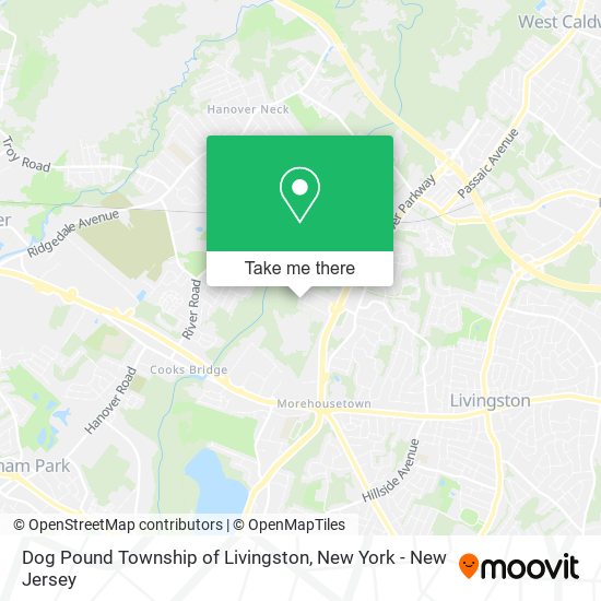 Dog Pound Township of Livingston map