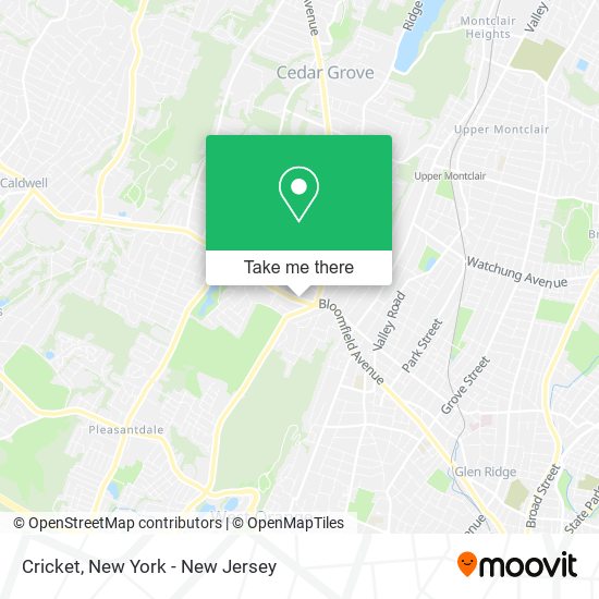 Cricket map