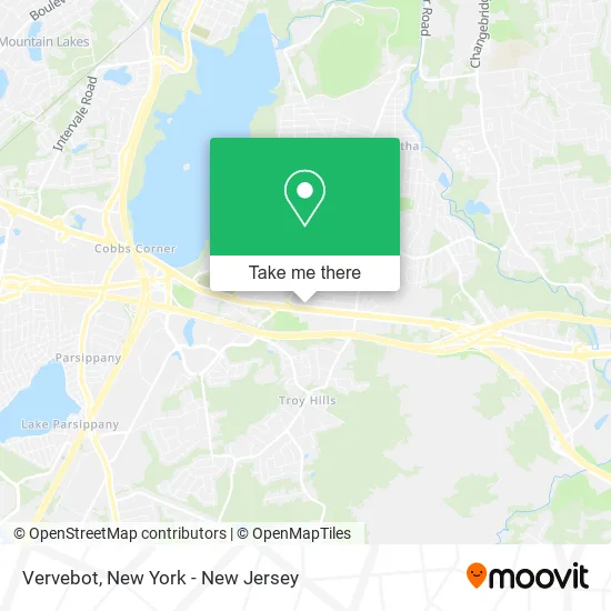 Vervebot map