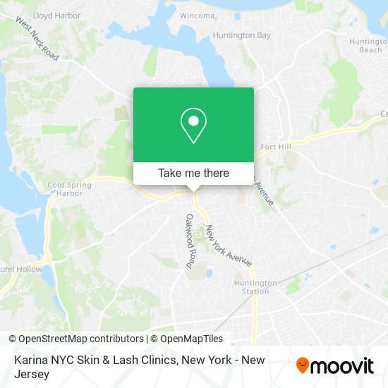 Karina NYC Skin & Lash Clinics map