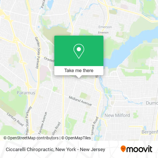 Ciccarelli Chiropractic map