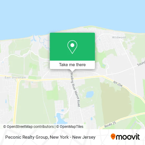 Peconic Realty Group map