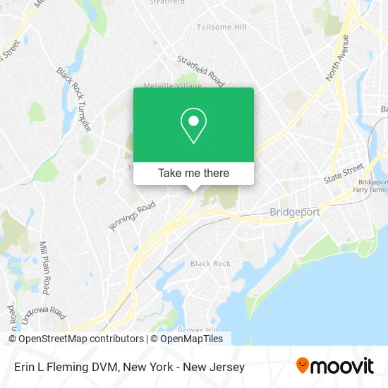 Erin L Fleming DVM map