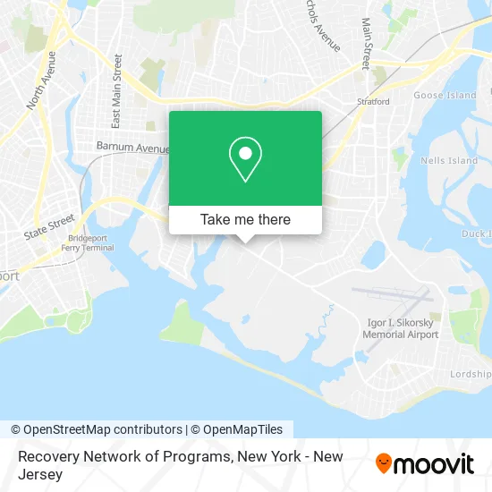Recovery Network of Programs map