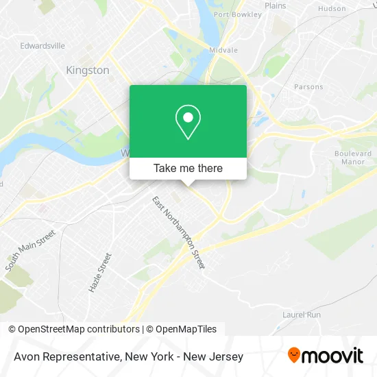 Avon Representative map