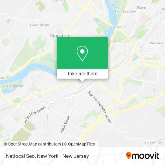 Netlocal Seo map