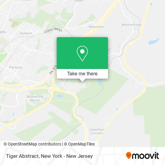 Mapa de Tiger Abstract