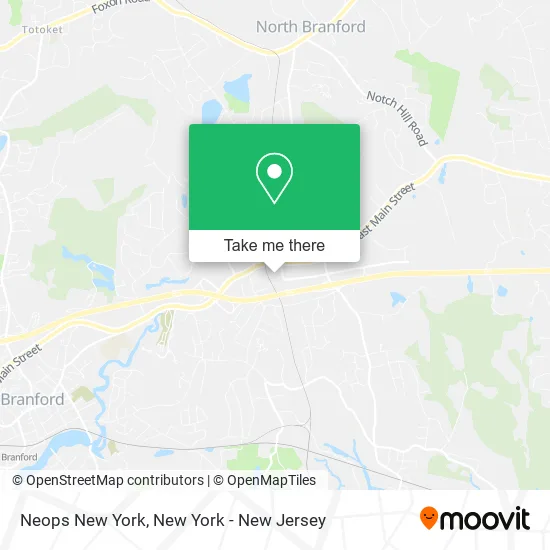 Neops New York map