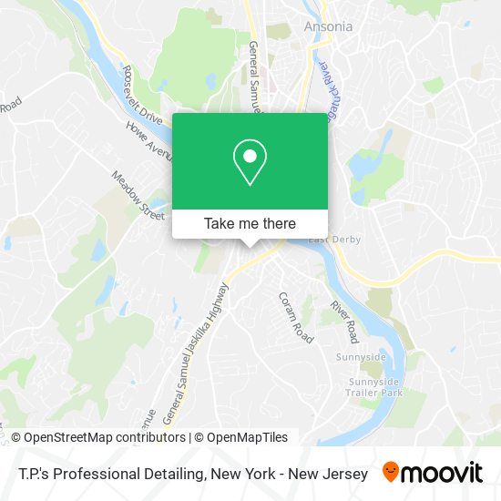 T.P.'s Professional Detailing map