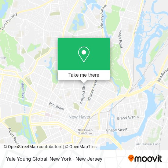 Yale Young Global map