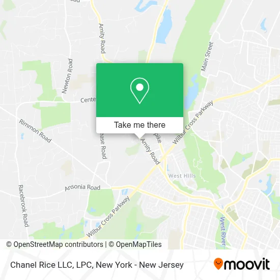 Chanel Rice LLC, LPC map