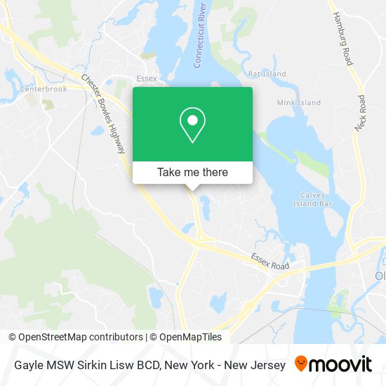 Gayle MSW Sirkin Lisw BCD map