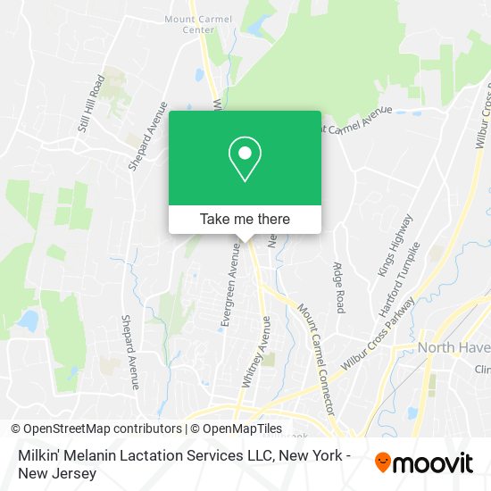 Mapa de Milkin' Melanin Lactation Services LLC
