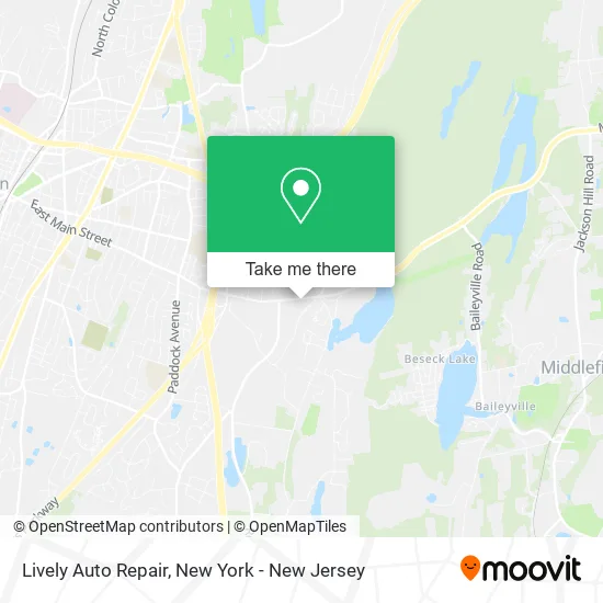Lively Auto Repair map