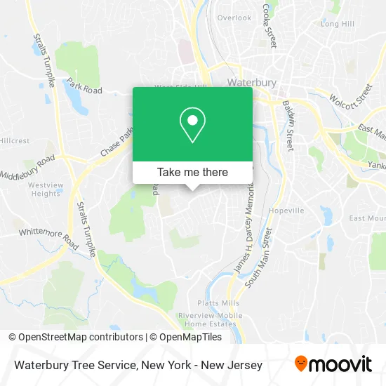 Waterbury Tree Service map
