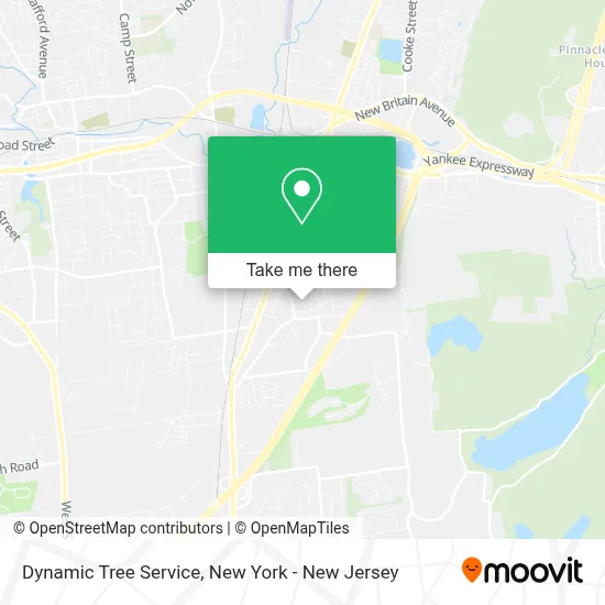 Dynamic Tree Service map