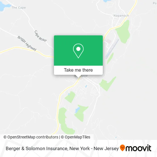 Berger & Solomon Insurance map