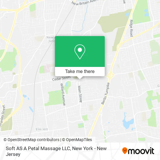 Soft AS A Petal Massage LLC map