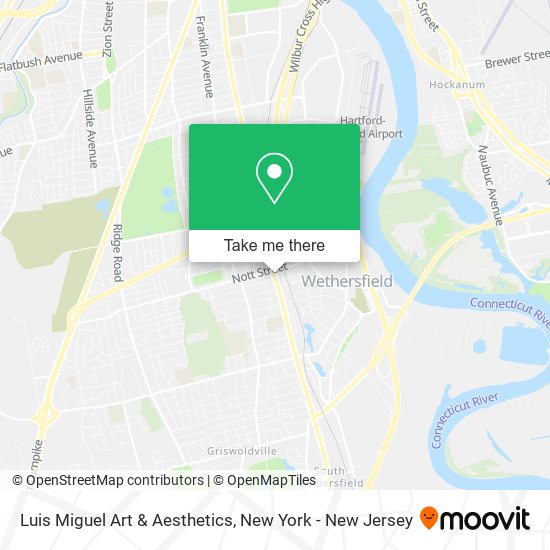 Luis Miguel Art & Aesthetics map