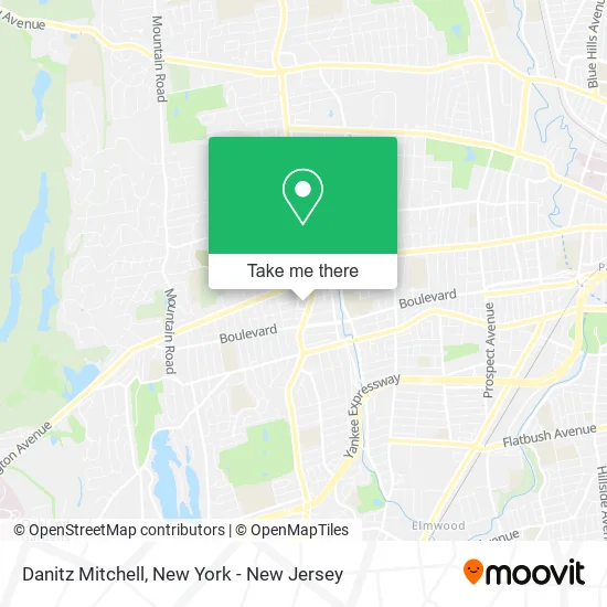 Danitz Mitchell map