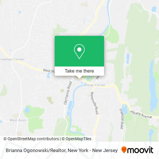 Brianna Ogonowski/Realtor map