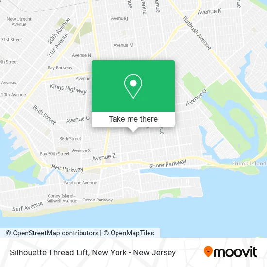 Silhouette Thread Lift map