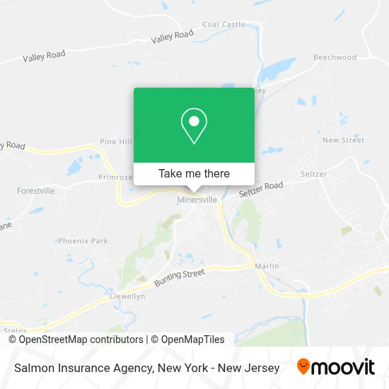 Salmon Insurance Agency map
