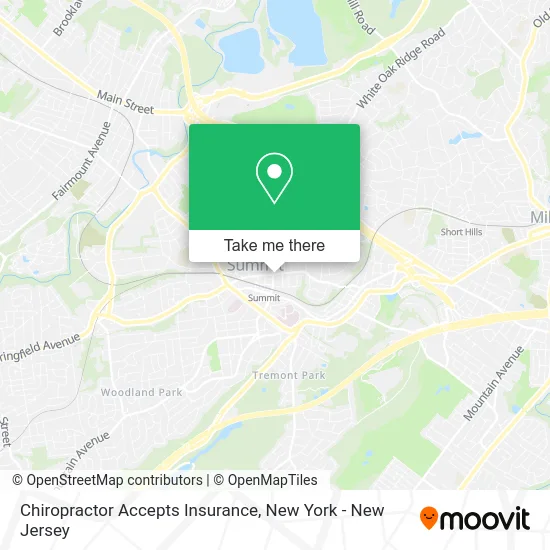 Chiropractor Accepts Insurance map