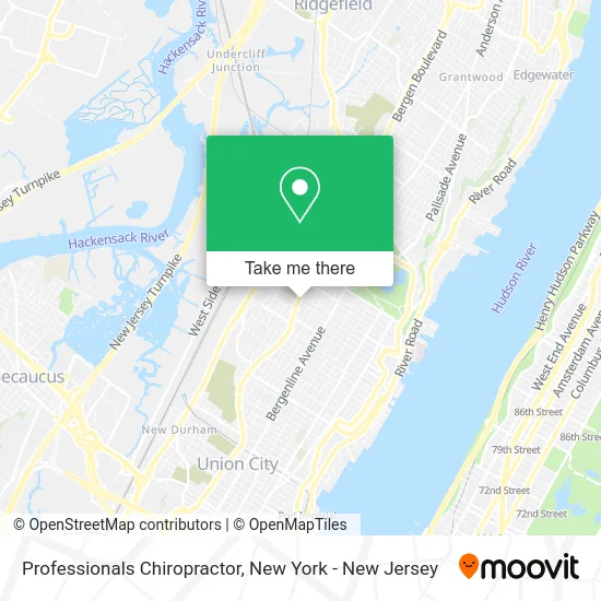 Professionals Chiropractor map