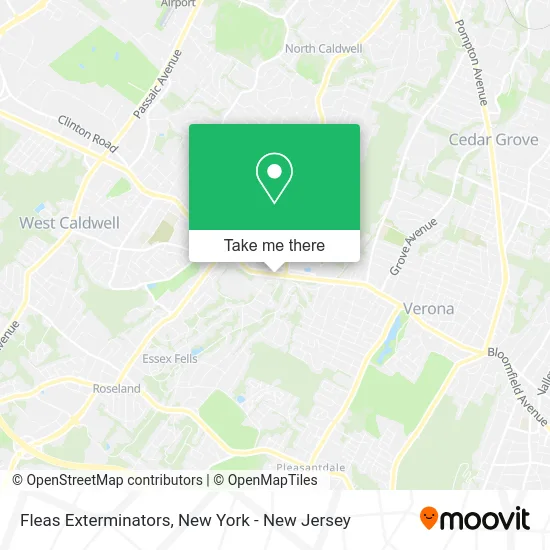 Fleas Exterminators map