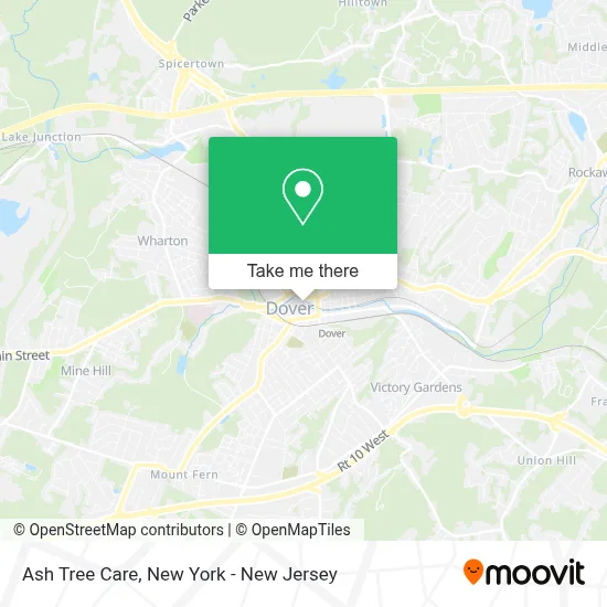 Ash Tree Care map