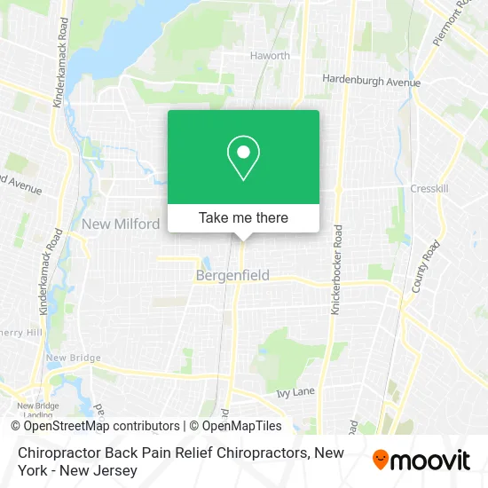 Chiropractor Back Pain Relief Chiropractors map