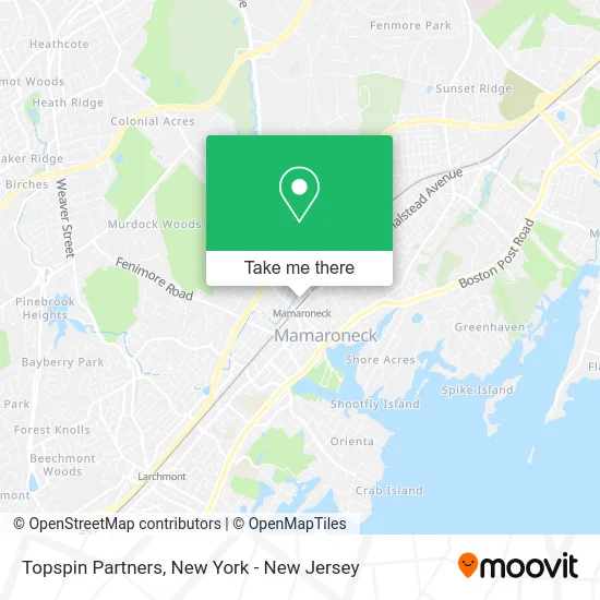 Topspin Partners map