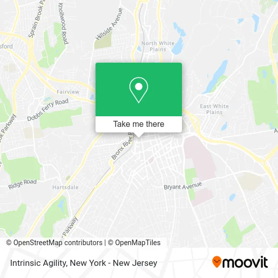 Intrinsic Agility map