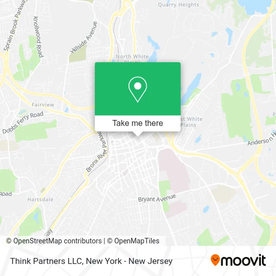 Think Partners LLC map
