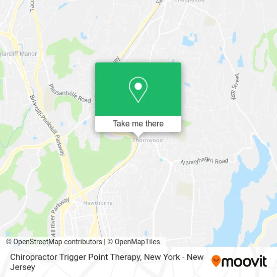 Chiropractor Trigger Point Therapy map